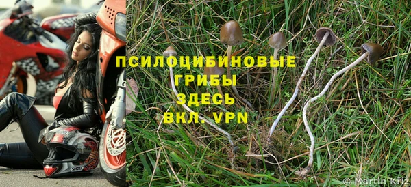 скорость Дмитриев