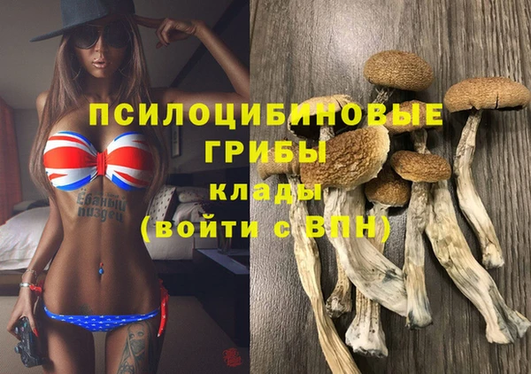 сатива Гусь-Хрустальный